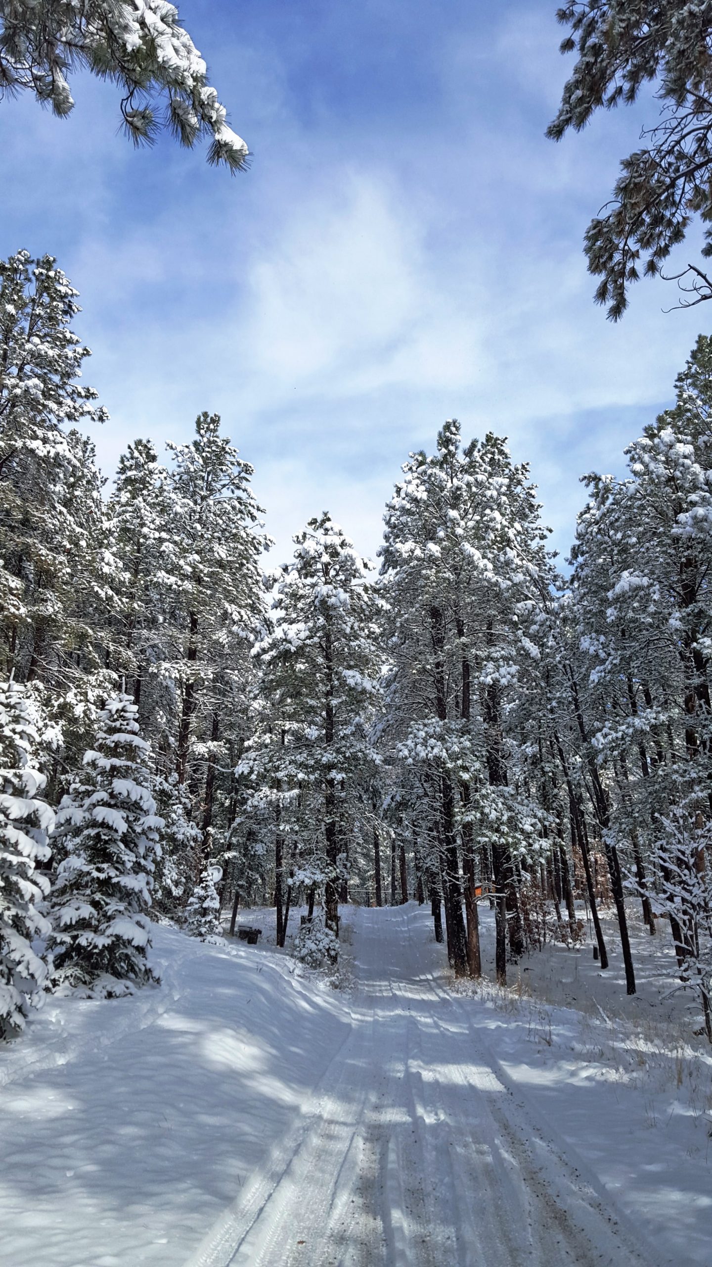 Jemez Springs Weather